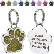 Médaille FurEverTag — Patte Glamour